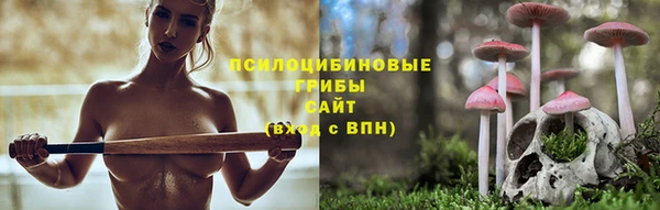 ALPHA PVP Верея