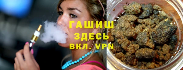 индика Вязники